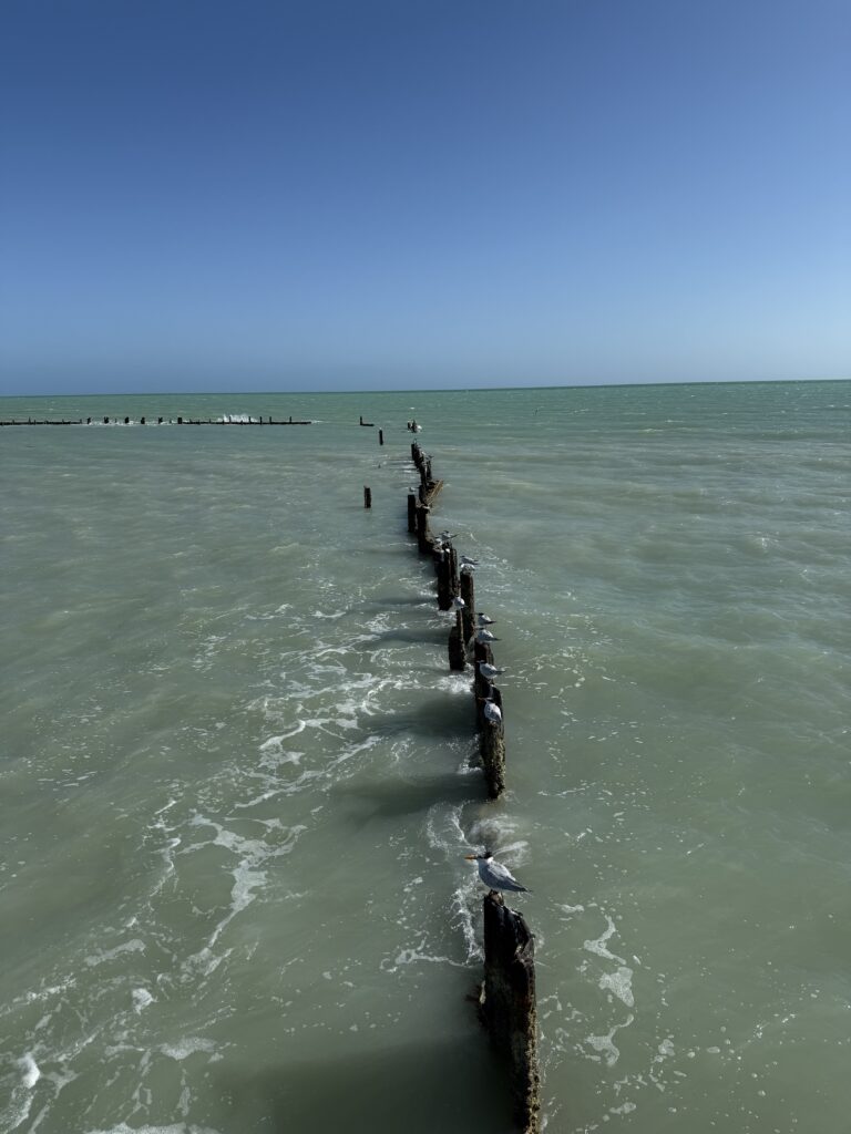 One week in Miami and the Keys