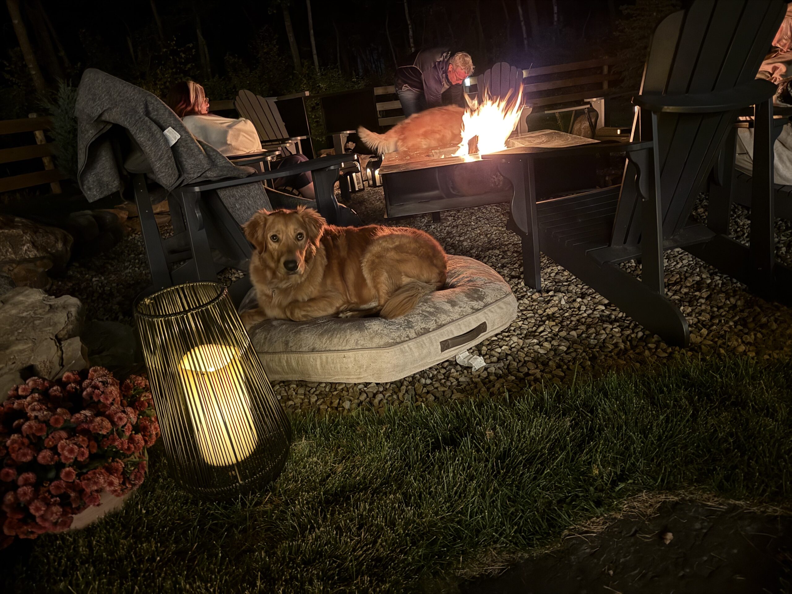 Gather Around the Flames:  A Fall Over-the-Fire Dinner Party